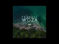 Download Lagu Tendayi - Woza (Prod. Las Venus)