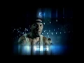 Download Lagu Limp Bizkit - Results May Vary (Official Advertising)
