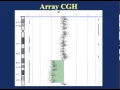 Podcast What is microarray analysis
