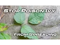 How To Get Rid Of Poison Ivy - Will Primos