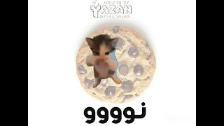 نو بسكوت نوووو    دندنها