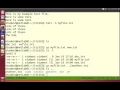 Linux Command Line File Operations 3 of 8