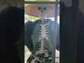 Download Lagu Jeepers kreepers 100%sure!#shorts #funny #comedy #viral #subscribe #halloween #love
