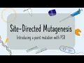 Site-Directed Mutagenesis Explained How to Introduce DNA Mutations with PCR