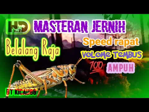 Download MP3 MASTERAN LEGENDARIS | BELALANG RAJA | Jernih full HD