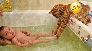 Best Funny Dogs and Cats Videos😍Funniest Animal videos 2024😹🐶