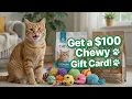 Spoil Your Cat For Free Get A 100 Chewy Gift Card Now
