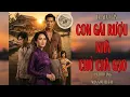 Lagu Chuyện Xưa Dễ Ngủ | Con Gái Rượu Nhà Chủ Chà Gạo | Nghe Là Ngủ Ngon