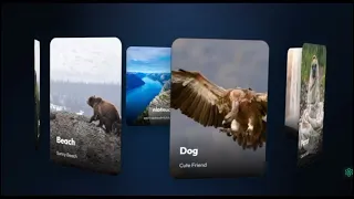 Build an Amazing 3D Circular Gallery in React JS Interactive Rotating Carousel Animation