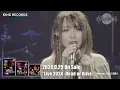 Mardelas "Last Round Survivor" [Live 2024 -Dead or Alive-]
