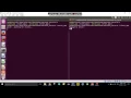 Echo Server Demo
