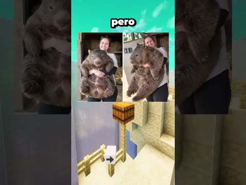 Cosas Que Son Mucho Más Grandes de lo Que Piensas 🤯