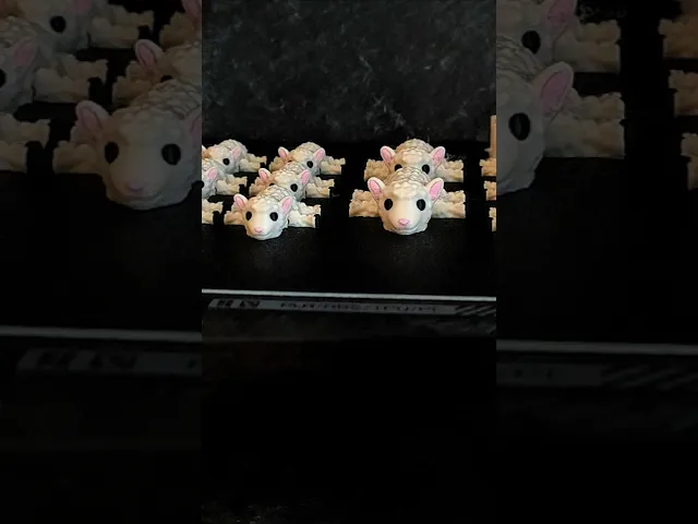 Fluffy - The little lamb / Articulated Fidget Toy video thumbnail