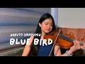 Download Lagu ブルーバード Blue Bird - いきものがかり Naruto Shippuden OP3 | Violin Cover by XJ Violin