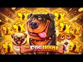 We Bought Every THE DOG HOUSE Game 5000E Bonus Opening