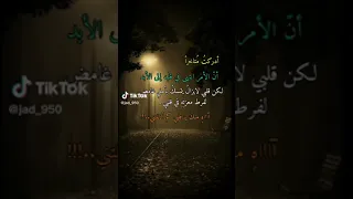 Shorts تامر حسني موسيقى تشيلو 