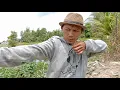 Download Lagu Juragan empang panen iwak