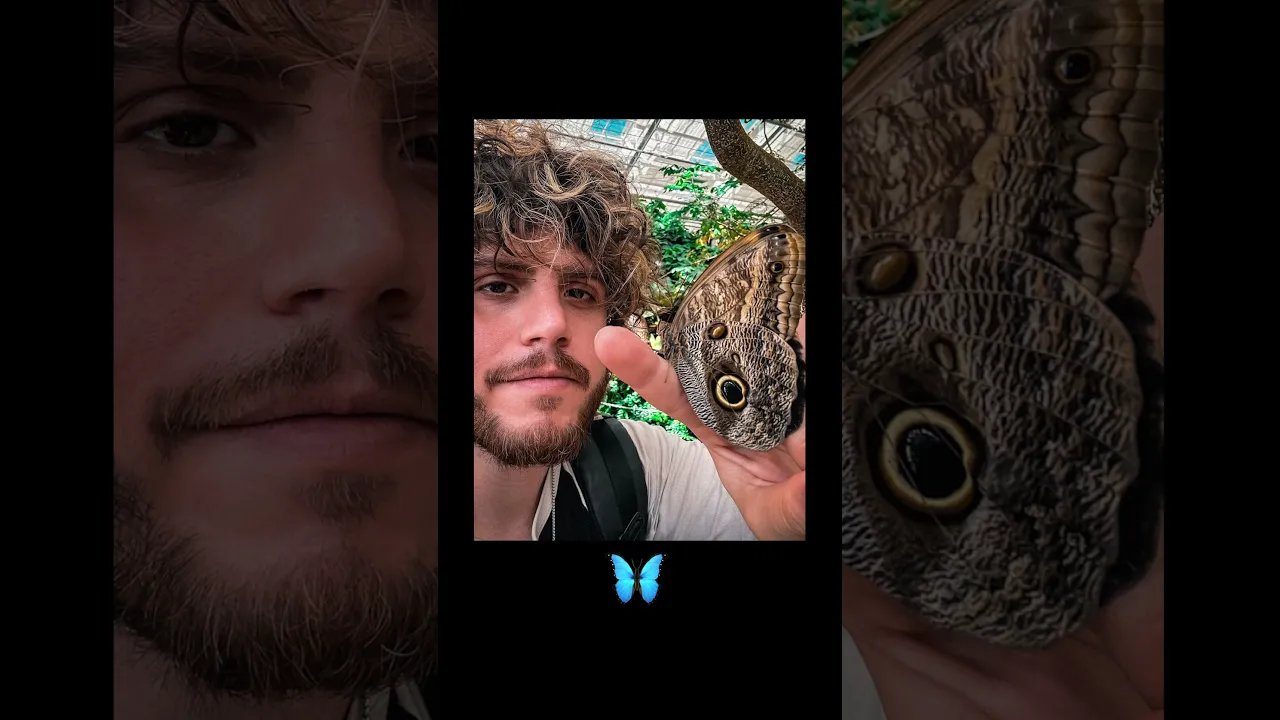🦋