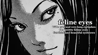                            حزمة جمال العيون   كومبو عيون القطط المسحوبة الحادة  دندنها