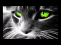 Download Lagu Flo rida Feat Akon Liz Elias At night - Audio
