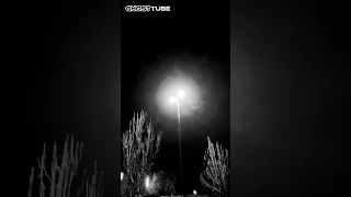 Moshiach8838 Gmail Com 