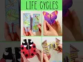 Insect life cycle science crafts - butterfly ladybug honeybee dragonfly