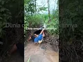 Download Lagu ada aja gebrakannya yang bikin geleng-geleng kepala #fyp #viral #funny