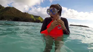 Ep 158 | Swimming with Stingrays and Sharks, Moorea, French Polynesia, Sailing Pacific Nutshell