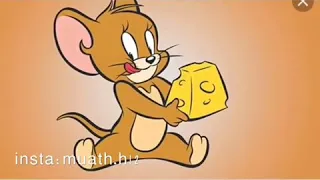 شفت الفار السندق الي اكل البندق فوق سطح الفندق  شفت الفار السندق الي اكل البندق فوق سطح الفندق
