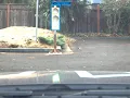 Using YOLO v3 to detect traffic light in Udacity test driving lot