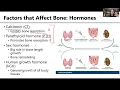 MSK1 Factors that Affect Bone
