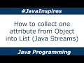How To Collect One Attribute from Object into List Java Streams Java Inspires