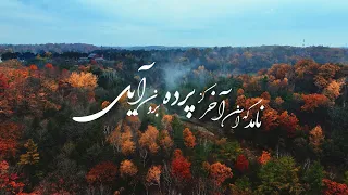                                                  شجریان   رسوای جهان دندنها