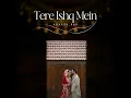 Tere Ishq Mein