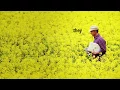 DHL e-Commerce