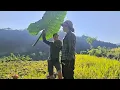 Download Lagu Working all day in the field was quite tiring but the two of them were still very happy