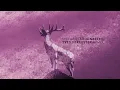 Marmion: Schöneberg (Yves Deruyter Remix)