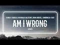 Download Lagu Camila Cabello, Nicholas Galitzine, Idina Menzel, Cinderella Cast - Am I Wrong (Lyrics)