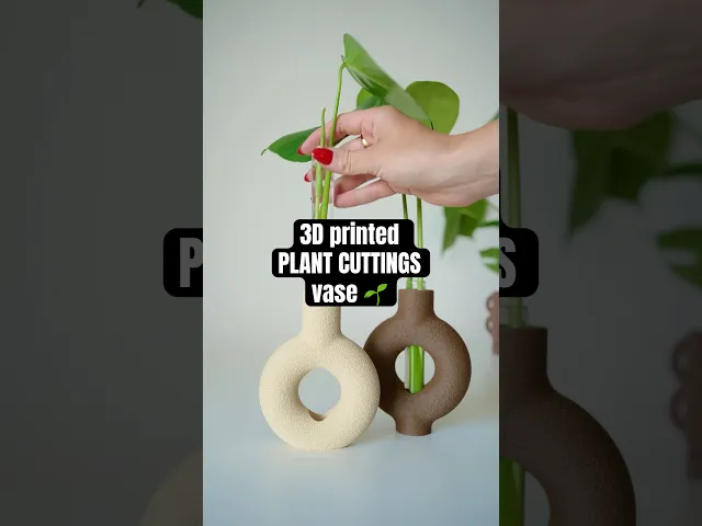 RINGIA plant propagation vases video thumbnail