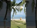 Download Lagu Bohol Oceanica Resort in Panglao🏝️ #travelphilippines #travel #paradisephilippines