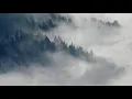 Cotton Dreams ☁️ | 30 Minutes Calming Music for Sleep, Meditation, Relaxation & Yoga