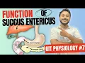 intestinal secretions physiology succus entericus function composition of succus entericus