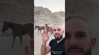 الغيييييرة ماشاء الله Shortsvideo 