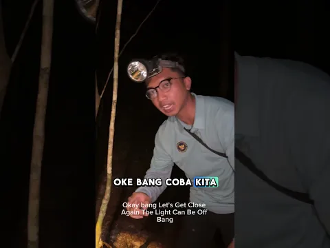 jamur Avatar ada di Kalimantan!!!