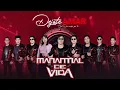 MANANTIAL DE VIDA - DEJATE AMAR 4k