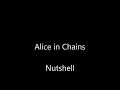 Alice in Chains- Nutshell (lyrics)