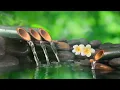 Download Lagu Relaxing Music 24/7, Stress Relief Music, Sleep Music, Meditation Music, Study, Flowing Stream