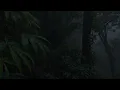 99% Instantly Deep Sleep With Best Rain Sounds | Natural Rain On Forest Leaves For Heal Insomnia