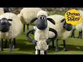 Download Lagu Time for some action! 🐑 Shaun the Sheep 🐑  - Cartoons for Kids 🐑 Full Episodes Compilation [1 hour]