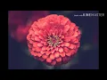 Dukkho amar bosot vita Dukkho colar sathi. Monir khan. Bangla sad song.